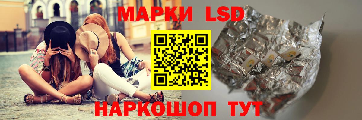 A-PVP Коряжма