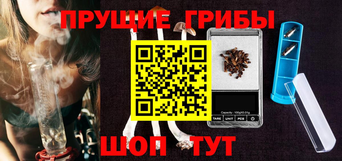 Коряжма  Галлюциногенные грибы мицелий  Вход с VPN 